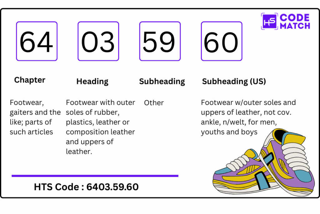 What is the difference between HS and HTS codes